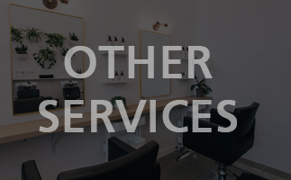 OTHER SERVICE